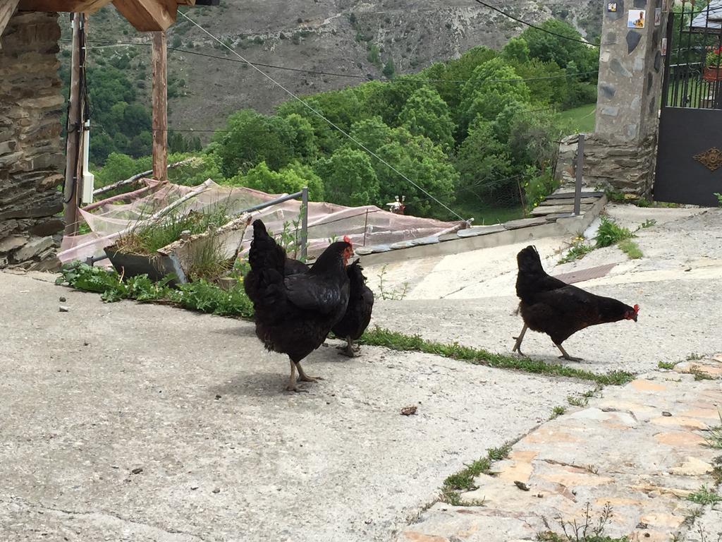 Lo Paller de Roc Montescladó Buitenkant foto